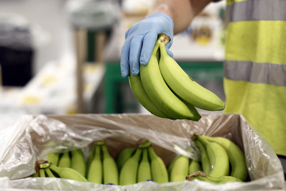 The Ultimate Guide to Choosing a Fruit Distributors in LA