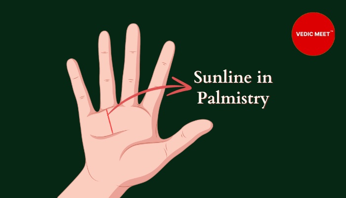 Exploring Sunline Palmistry: Insights into Personality, Success, and Destiny