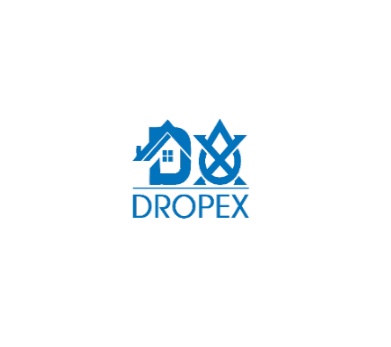 Basement Bliss: Dropex's Waterproofing Solutions for You