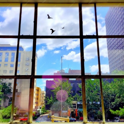 Clear Views, Bright Futures: The Power of NY Window Film