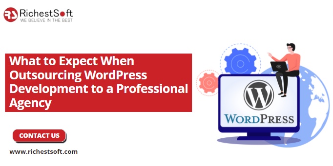 What to Expect When Outsourcing WordPress Development to a Professional Agency
