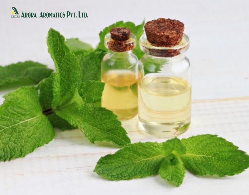 A Deep Dive into Mentha Oil and Its Manufacturers