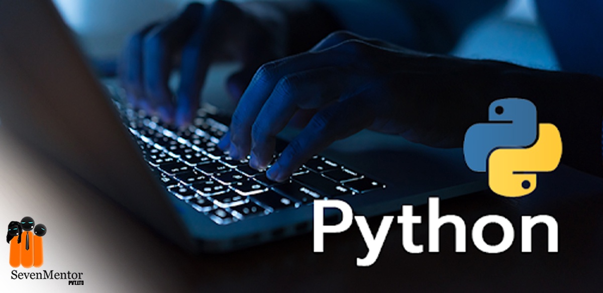 The Future of Python in 2024?