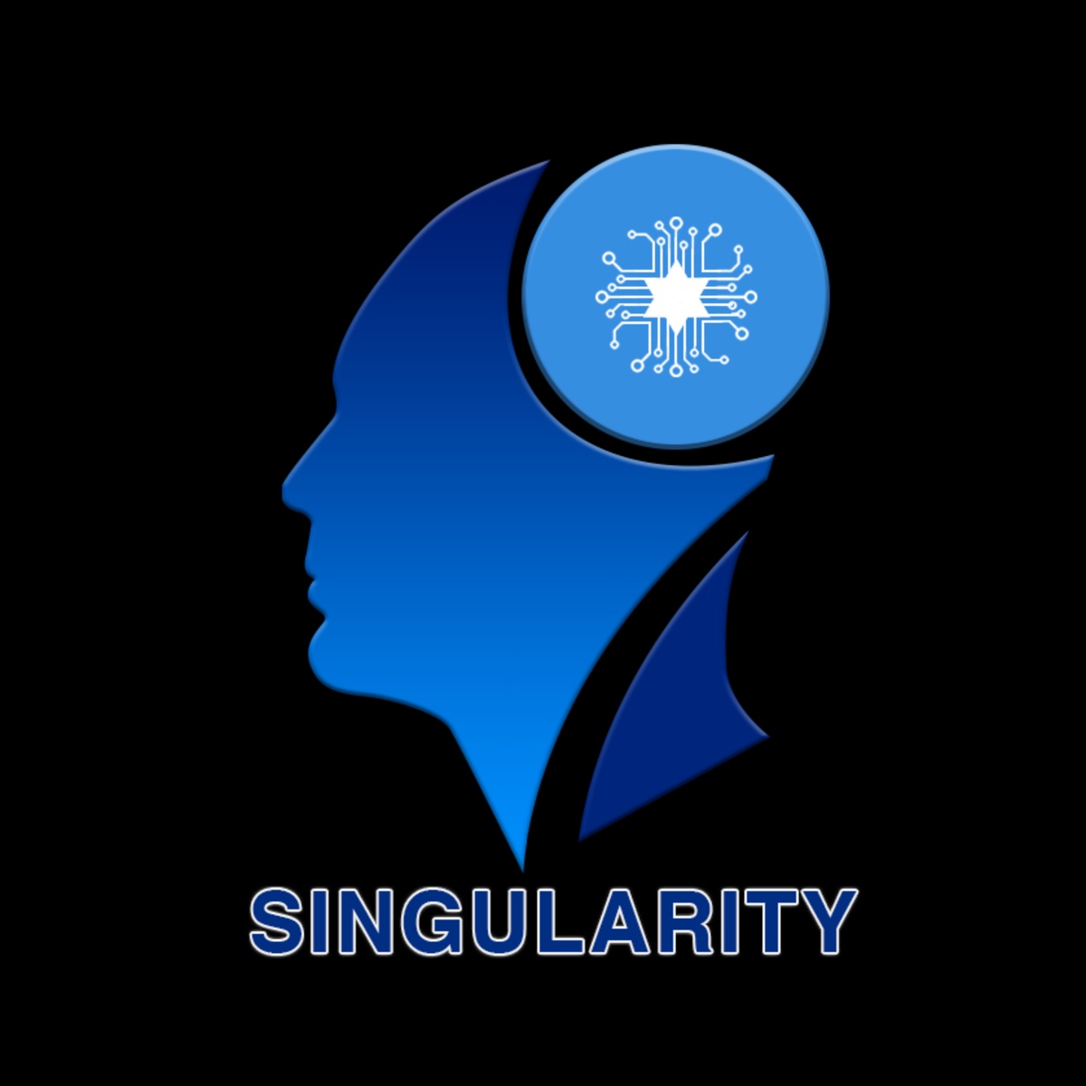 Singularity: Revolutionizing Entrepreneurship Through AI-Powered Optimization