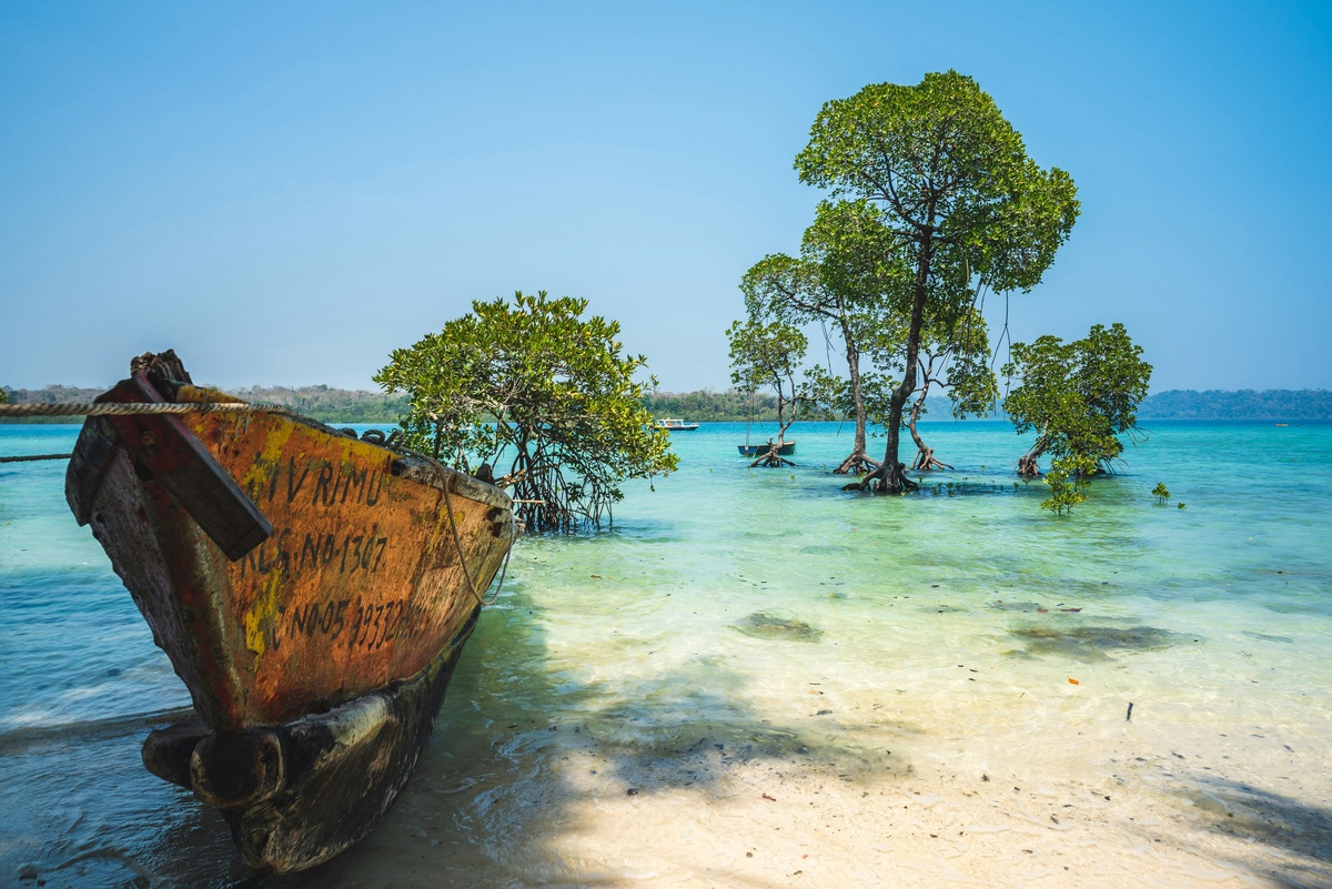 Explore Paradise: 7 Best Things to Do in Andaman in 2024