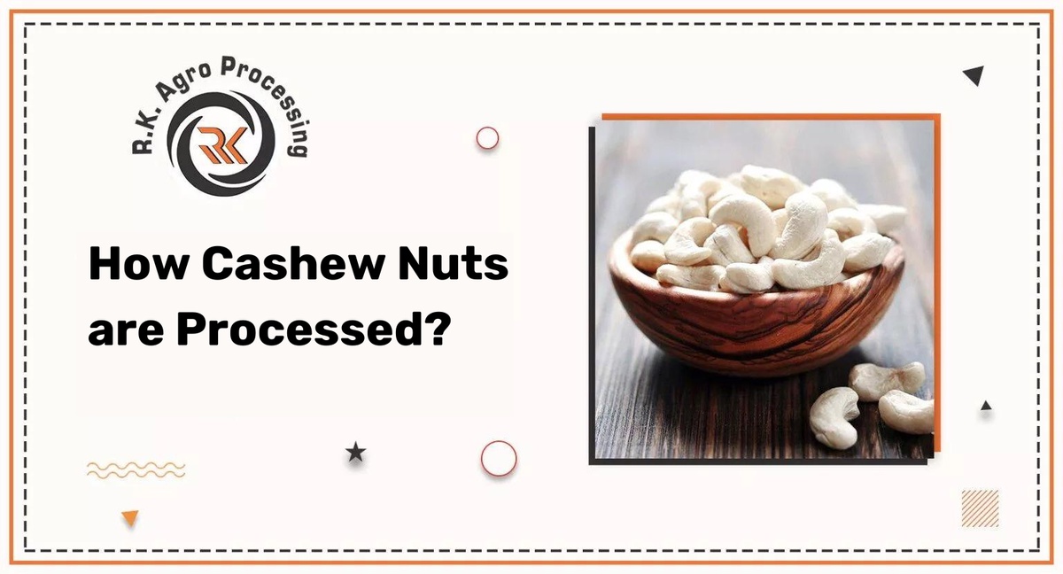 How Cashew Nuts are Processed?