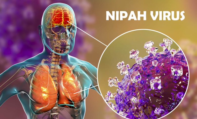 Nipah Virus Symptoms in Humans Don’t Ignore These Warning Signs