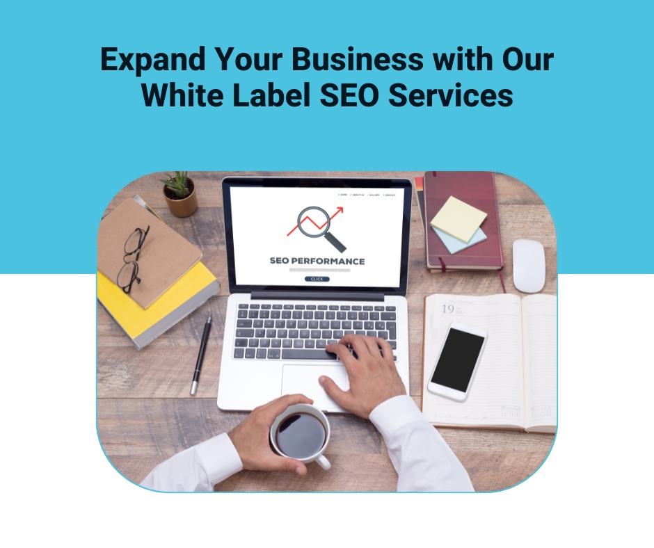 Link building for white label SEO services and agencies by Indeedseo