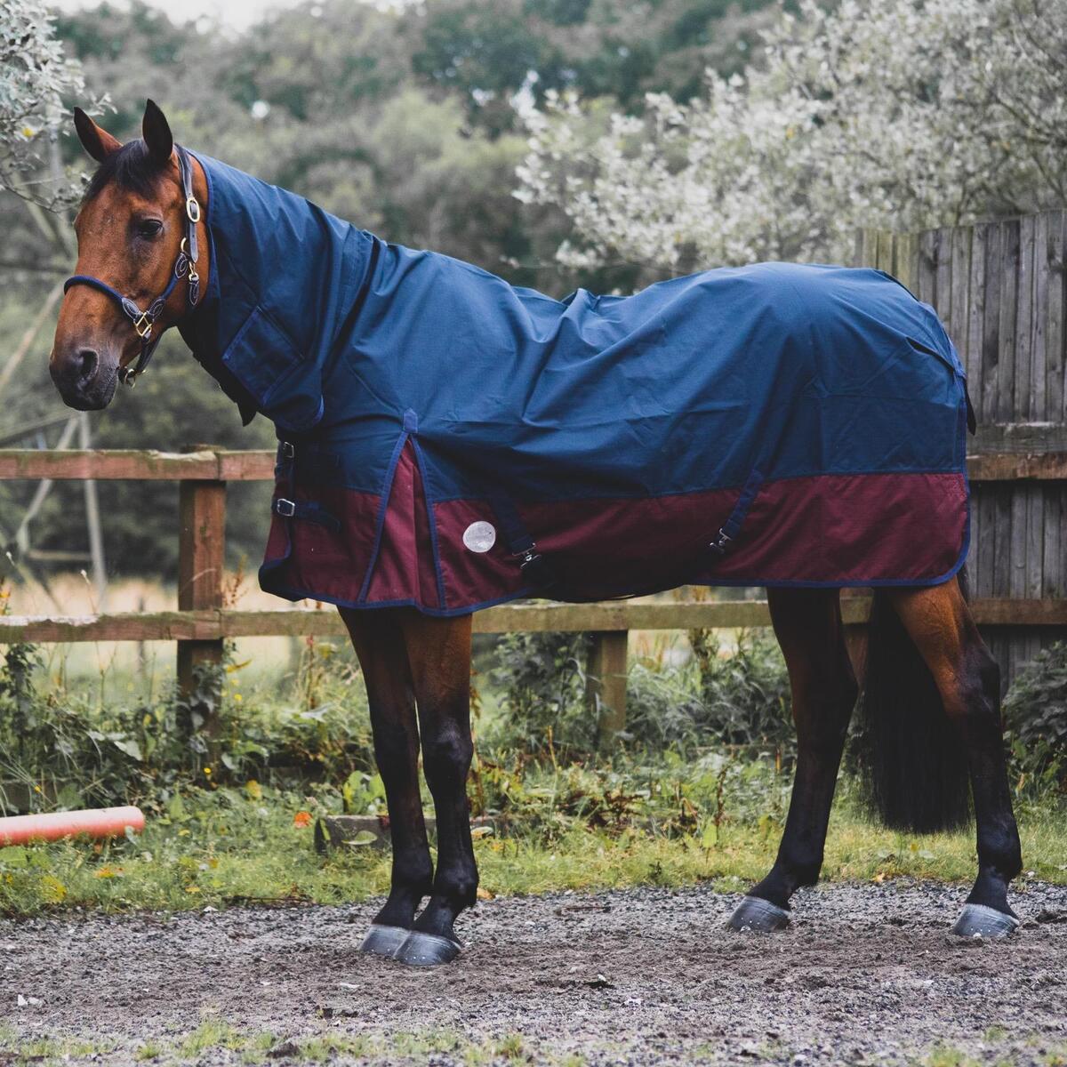 Keeping Your Cool Horse Comfortable: The Science Behind Lightweight Turnout Rugs