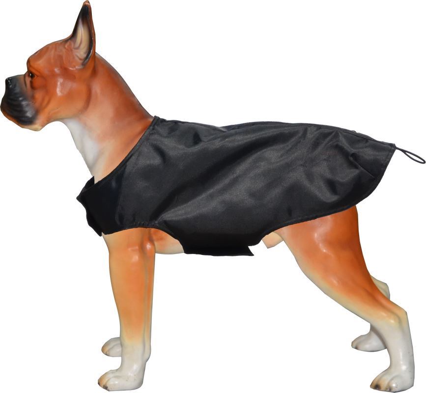Winter Wonderland: Unleashing the Magic of Customized Coats for Petite Pooches
