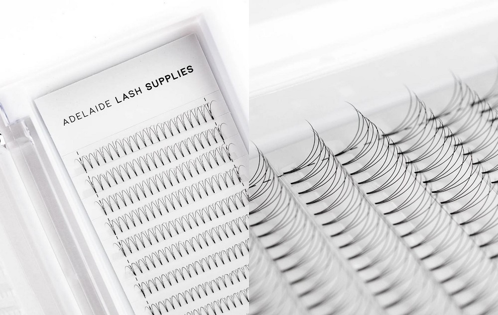 Lash Trays