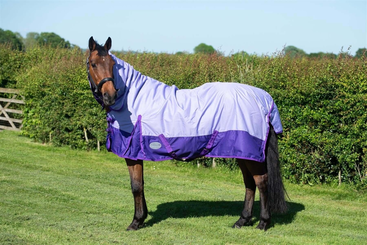 Unfilled Freedom: Exploring the Benefits of No-Fill Turnout Rugs