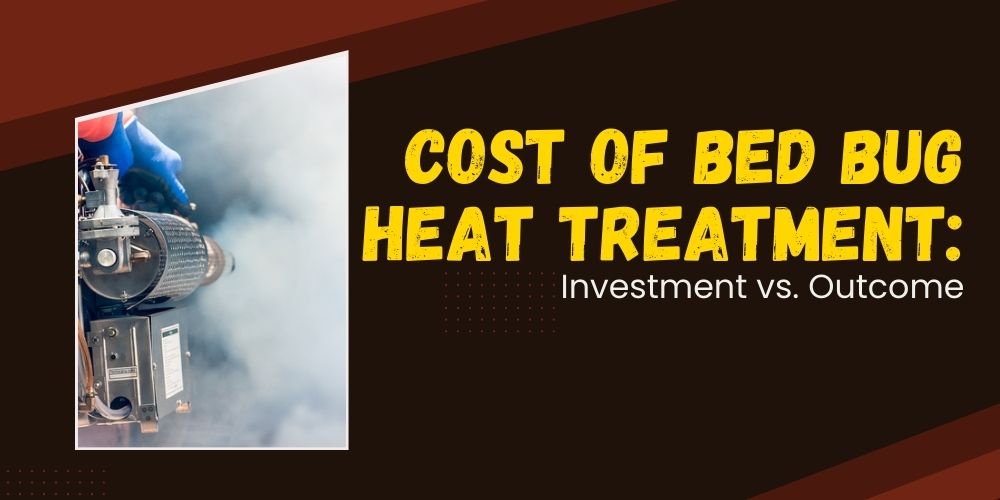 Cost of Bed Bug Heat Treatment: Investment vs. Outcome