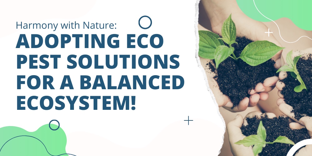Harmony with Nature: Adopting Eco Pest Solutions for a Balanced Ecosystem!