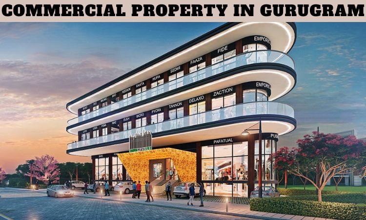 Commercial Property in Gurugram | Luxury Property for Sale