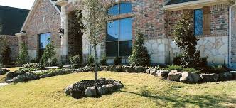Cultivating Beauty: Landscaping Services Flourish in Princeton, TX