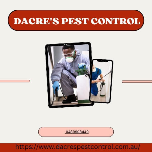 Protect Your Property: Dacres Pest Control Bee Removal Specialists