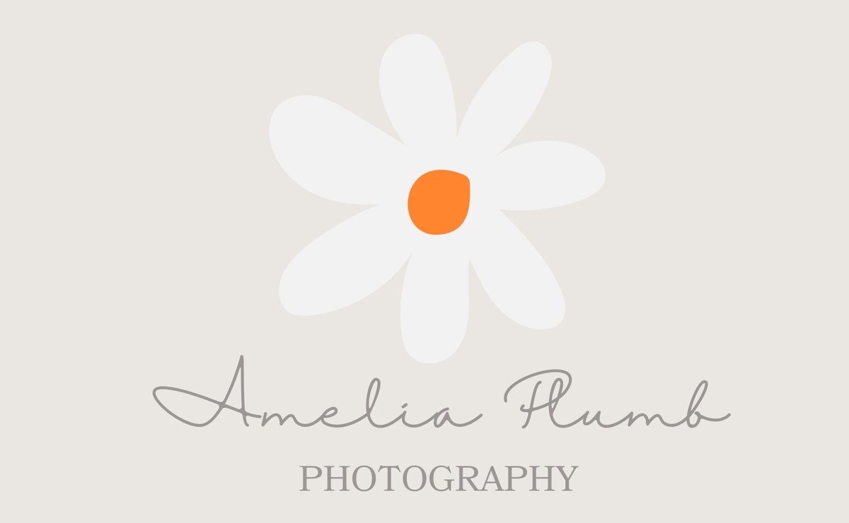 Capturing Moments: Amelia Plumb Photography in the Bay Area