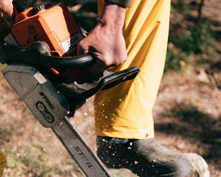 Wausau Tree Service Pros