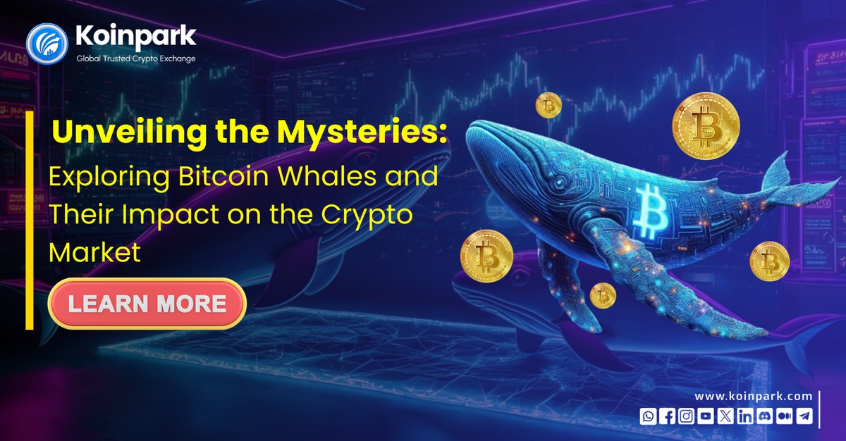 Unveiling the Mysteries: Exploring Bitcoin Whales and Their Impact on the Crypto Market