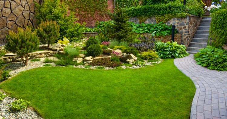 Affordable Landscape Services in Saudi Arabia for Small Gardens
