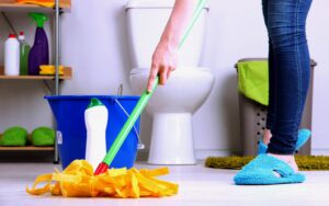 Keeping Henderson Homes Pristine: The Role of Carpet Cleaners