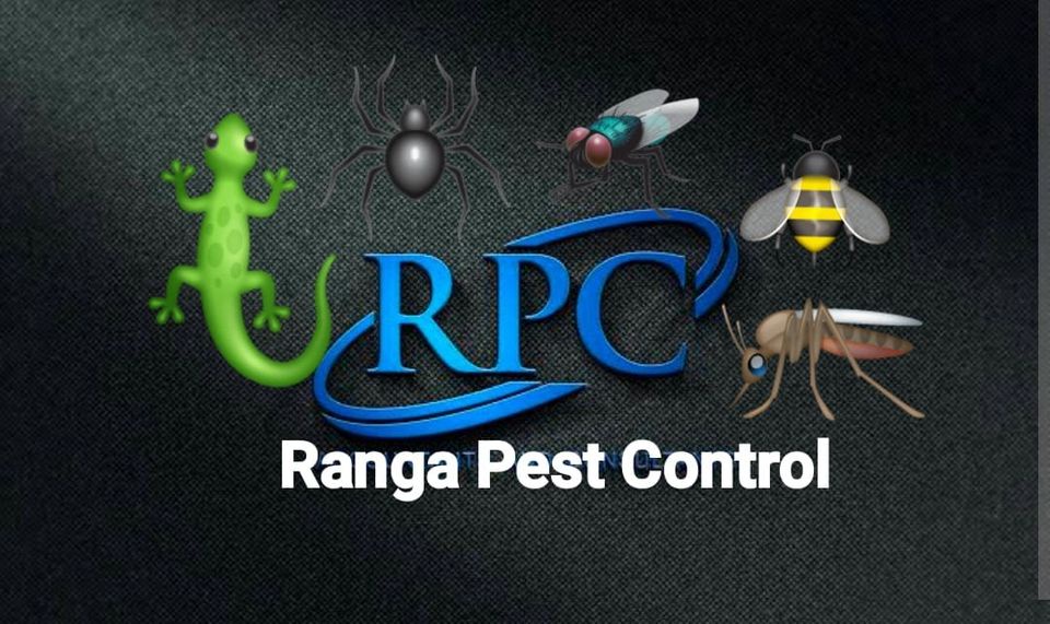 Pest Control in Jhajjar