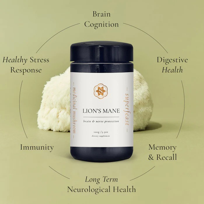 Lion's Mane Mushroom Powder