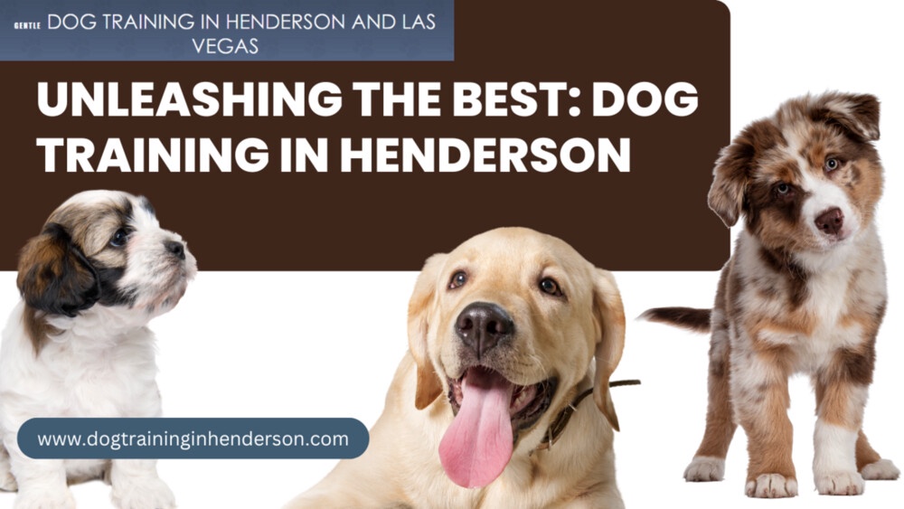 Unleashing the Best: Dog Training in Henderson