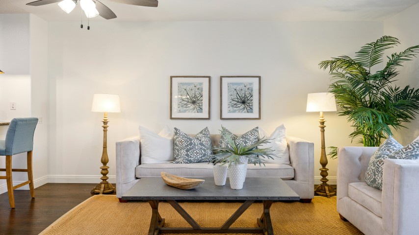 Harnessing Positive Energy: Principles and Techniques of Feng Shui