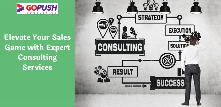 Elevate Your Sales Game with Expert Consulting Services