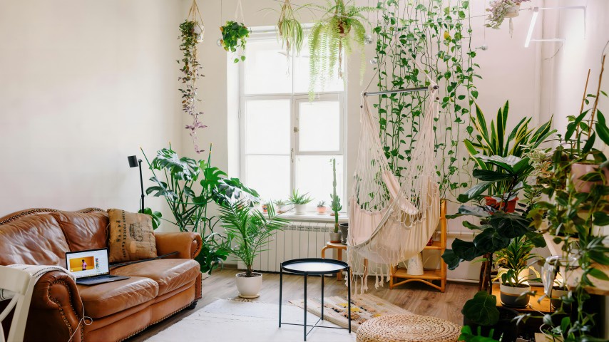Exploring Modern Rustic Interior Design: Ideas for Home Decor