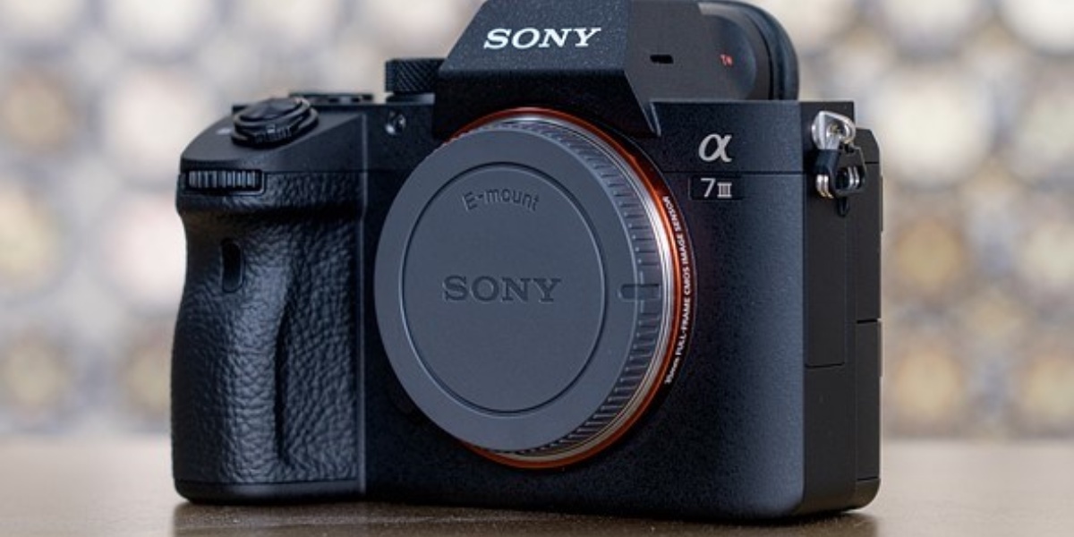 Capturing Moments in Crisp Clarity: The Sony Camera Experience