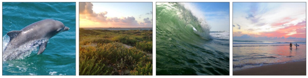 5 Best South Padre Attractions