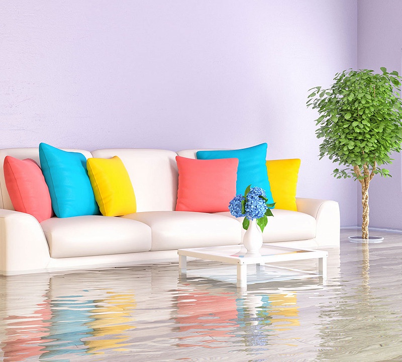 Don't Go DIY! The Reasons to Employ Experts for Wind Damage Restoration