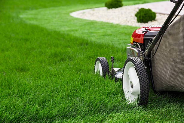 What is The Importance of Lawn Care?