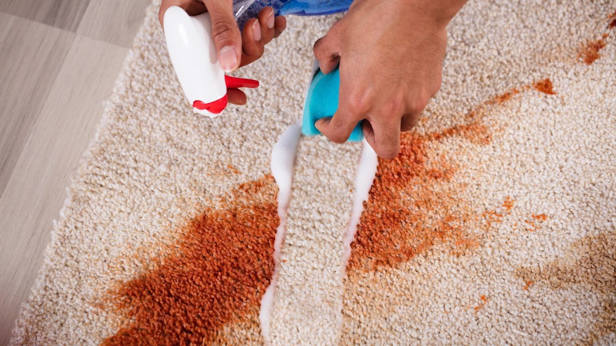 Top 10 Safe and Effective Wasp Removal Methods