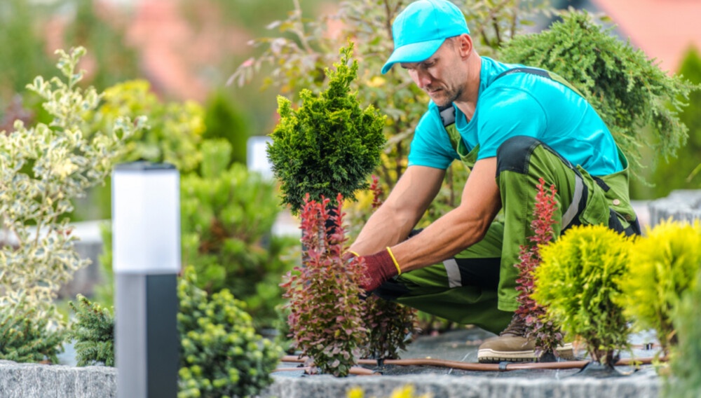 Benefits of Hiring Landscape Contractors in Riyadh