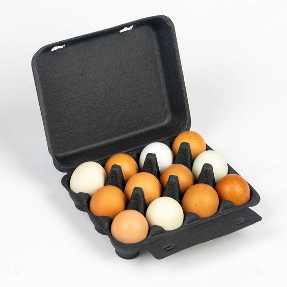 Egg Cartons: The Essential Packaging for Fresh Eggs