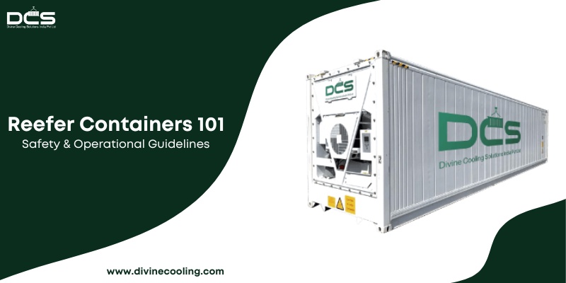 Reefer Containers 101: Essential Safety and Operational Guidelines