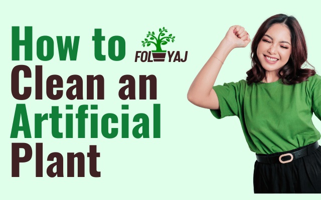How to Clean an Artificial Plant: A Comprehensive Guide