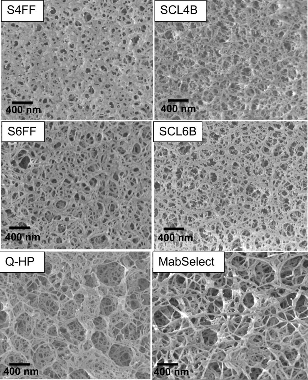 Conjugated Agarose Particles for Affinity Separation and Purification