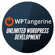 The Mystery Behind Wordpress Seo Services?