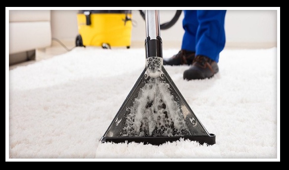 Refresh and Renew Professional Carpet Cleaning in Campbelltown