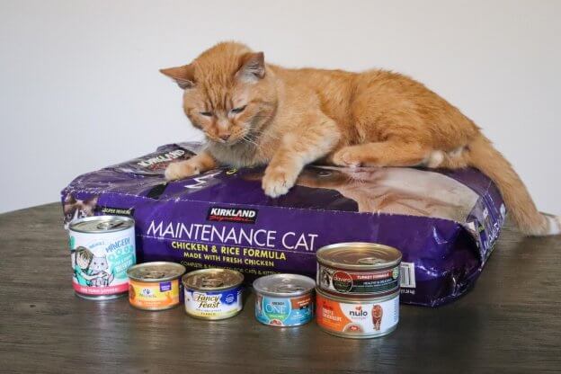 Revealing the Ultimate Nutrient Profile: Tiki Cat Food