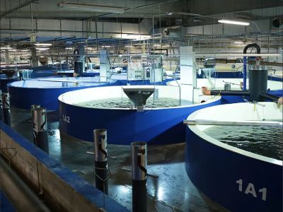 Aquaculture Tanks: Investing in the Future of Sustainable Seafood