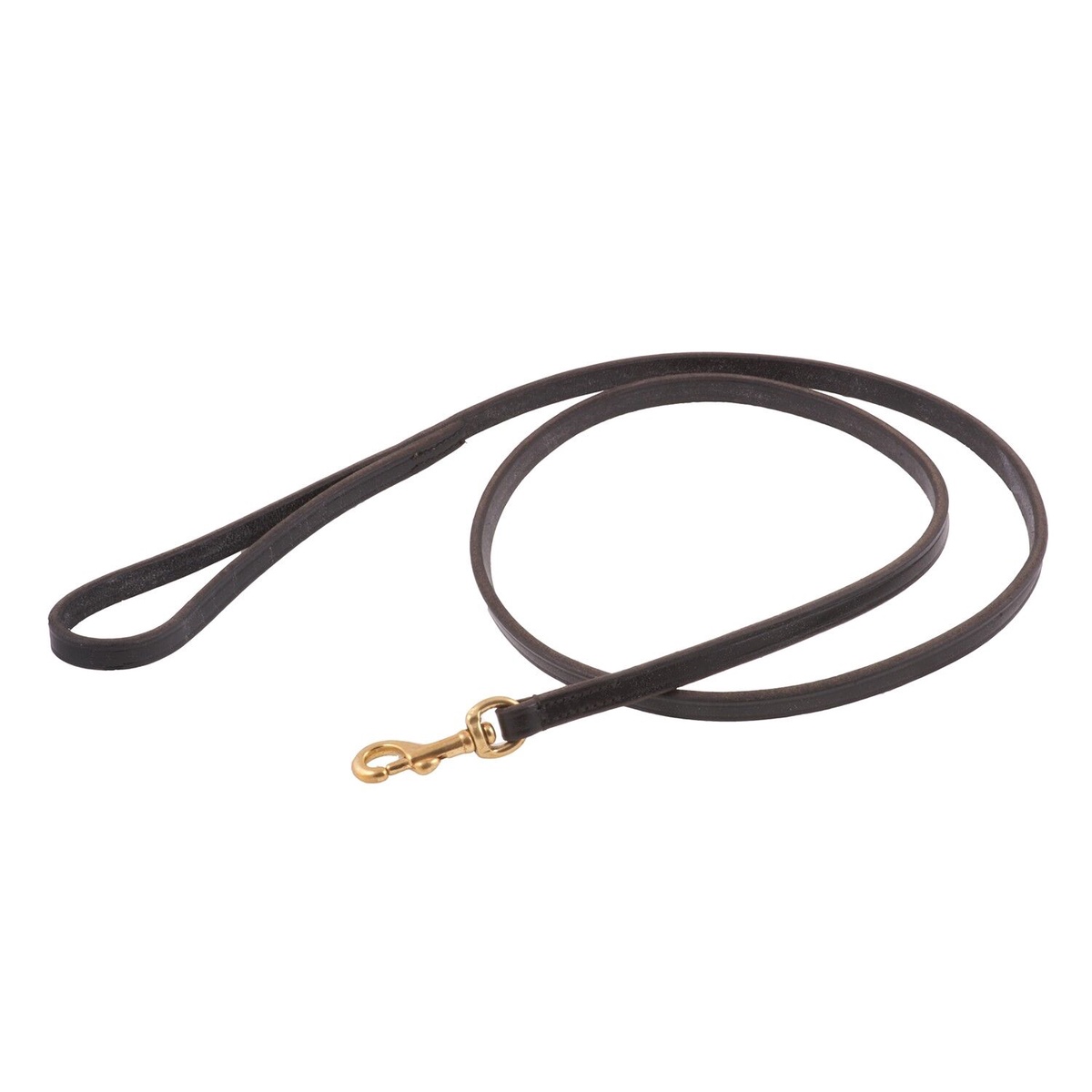 What to Look for When Choosing the Perfect Martingale Collar for Your Dog