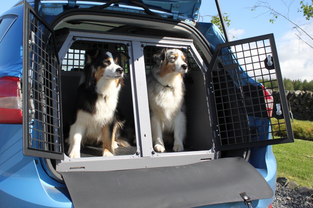 Pet Accessories: Making Life Better for Your Furry Friends