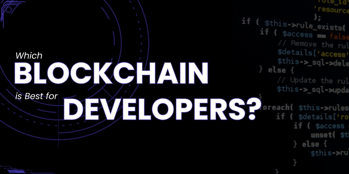 The Developer's Guide (2024)! Which Blockchain is Best for Developers?
