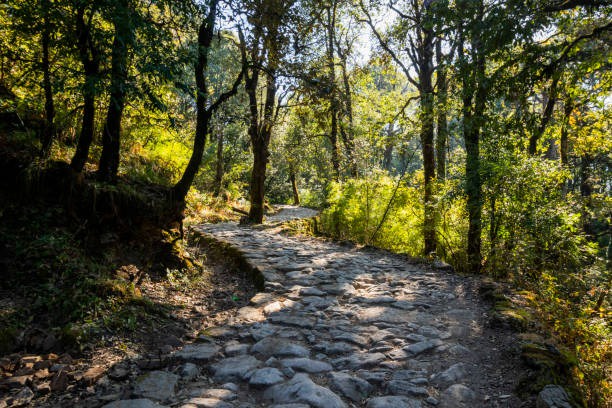 Nainital Exploration: Top Destinations to Discover